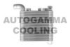 AUTOGAMMA 107321 Intercooler, charger
